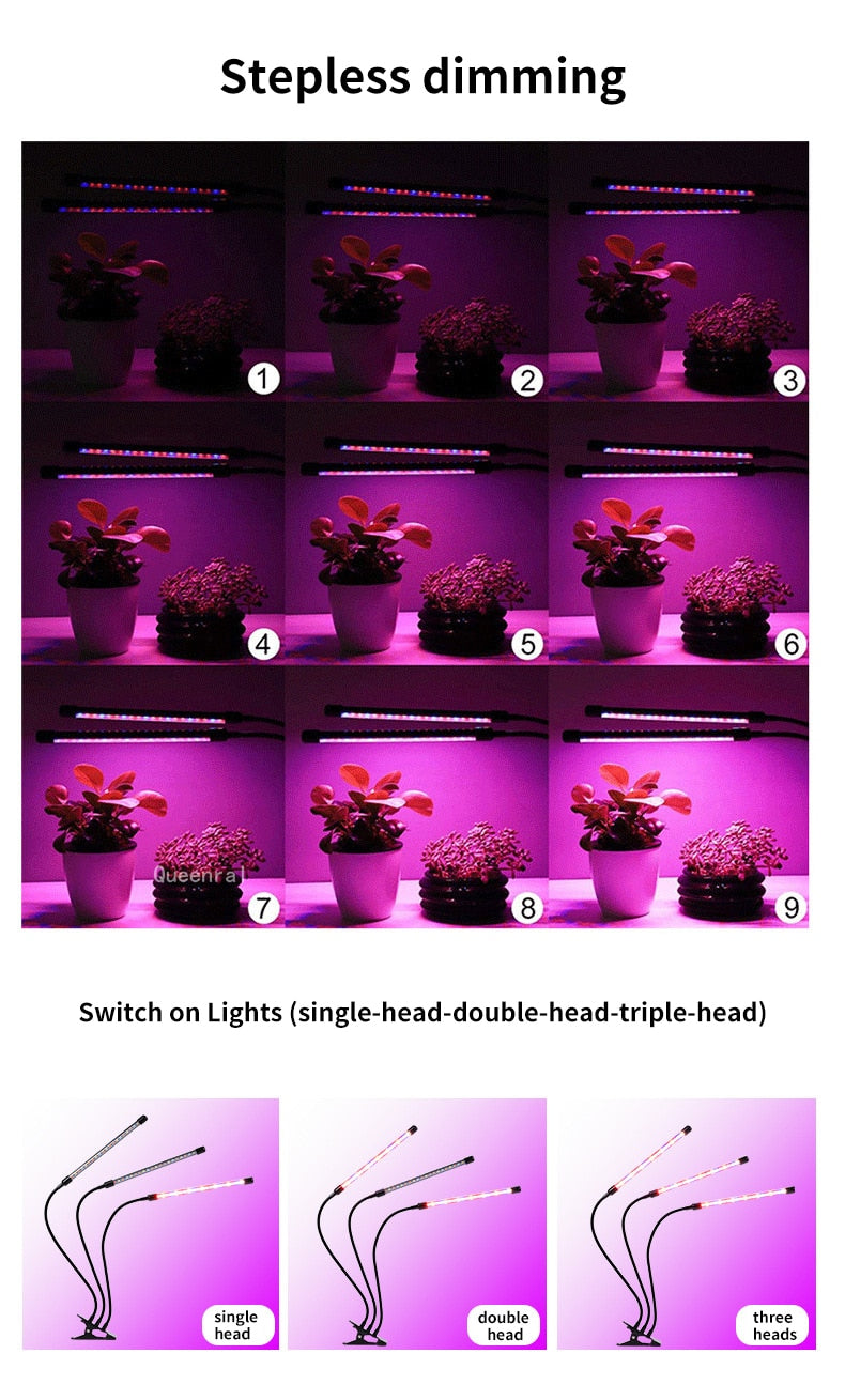 Grow light