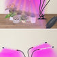 Grow light